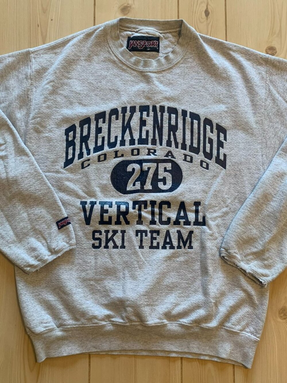 Vintage Y2K JanSport Breckenridge Colorado Vertical Ski Team Snow Sweatshirt M